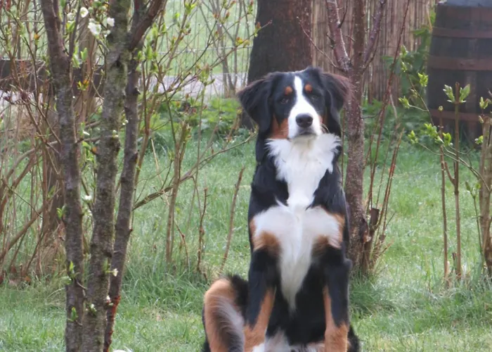 Riedhof * Fahrenbach